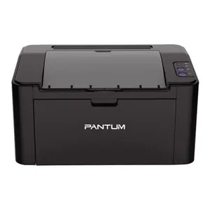 Замена вала на принтере Pantum P2207 в Краснодаре